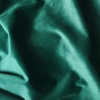Holland velvet fabric 400 (2)